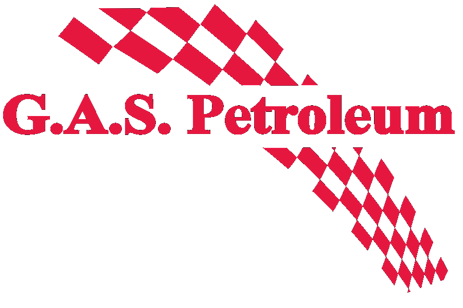 Logo 1